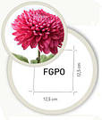 Сітка шпалерна для квітів Ортинет 10FGPO 1,12х1000 м (Tenax — Італія), фото 2