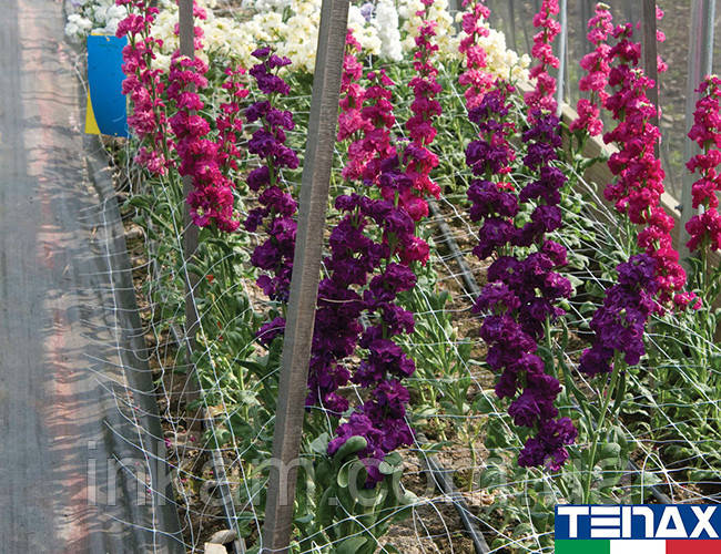 Сітка шпалерана квіткова Ортинет 7FG 1,02х1000 м (Tenax — Італія)