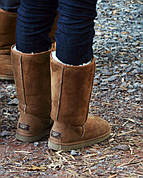 Опис Угг UGG Australia