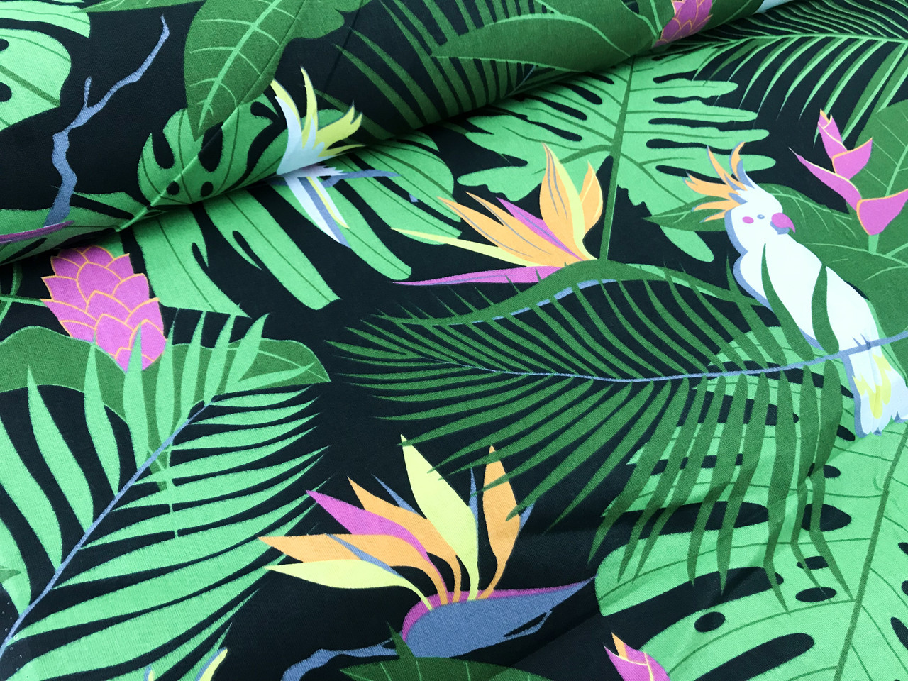 ΠΠΎΠ»ΡΡΡΠΊΠ° Π±ΡΠ·Ρ "ΠΏΠ°ΠΏΡΠ³ΠΈ Π· ΠΏΠ°Π»ΡΠΌΠ°ΠΌΠΈ Π½Π° ΡΠΎΡΠ½ΠΎΠΌΡ", ΡΠΎΡΠΎ 1