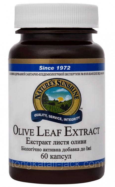 Екстракт Листя Оливи (Olive Leaf Extract)