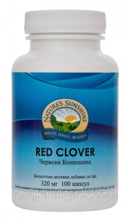 Червоний Клевер (Red Clover)