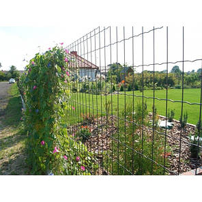 Сітка зварна ЗАГРАДА ПРЕМІУМ рулон 1,5х10м відділення 50х50 мм, фото 1