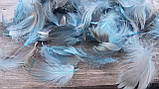 Пір'я натуральні кольорові декоративні, 150 шт\уп., фото 3