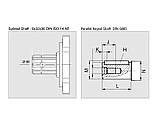 Hidrocel 2PBM 12 куб. з DIN Мотор з вигнутою віссю ( Шлицевой /Шпонковий), фото 5