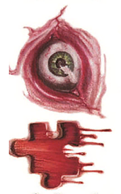 Флеш Тату. 11*6 См. Тимчасова, Перевідна. Набір, Шрами, Рани, Шви, Halloween, Nht-025, Кольорові