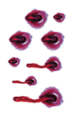 Флеш Тату. 11*6 См. Тимчасова, Перевідна. Шрами, Рани, Шви, Halloween, Nht-013, Кольорові