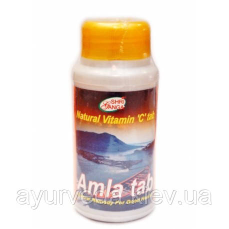 Амла, таблетированая Amla tablets (200tab) - фото 1 - id-p336637978