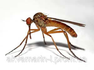 Уничтожение комаров - фото 1 - id-p57205777