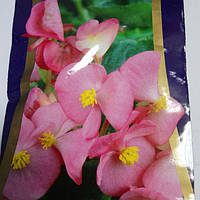 Семена комнатных растений Бегонія вічноквітуча АКОРД світло-рожева F1