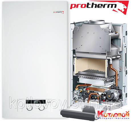 Газовий двоконтурний котел Protherm Рись, фото 1