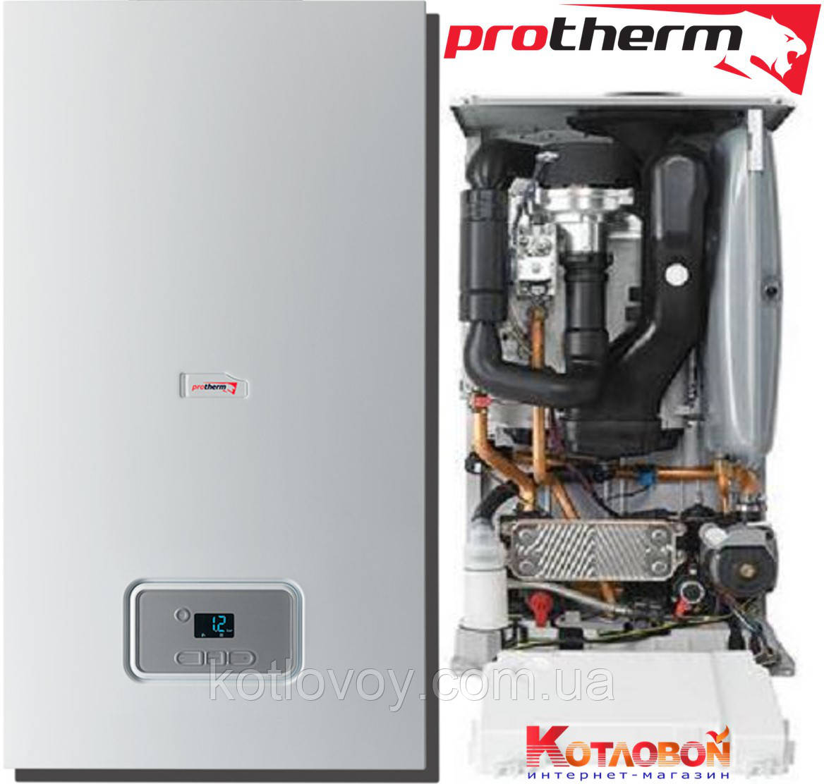 Конденсационный газовый двухконтурный котел Protherm Рысь Конденс - фото 1 - id-p87162026