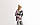 BabyBjorn - Рюкзак-кенгуру Baby Carrier Mini 3D Jersey, Dark Grey (темно-сірий), фото 4