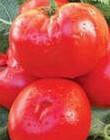 Семена томата "Нужный размер"