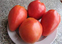 Насіння томату "Петруша городник"