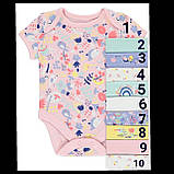 Гарні боді з коротким рукавом George, 1-3 міс! Поштучно!, фото 8