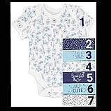 Гарні боді з коротким рукавом George 9-12 міс, поштучно! Заміри, фото 6
