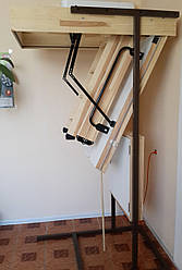 Сходи горищні Oman Polar 120х60 мм H280