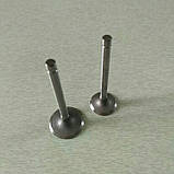 Клапан випускний впускний дизельного двигуна 178f, фото 3