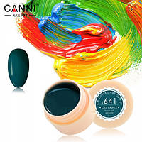 Гель-фарба Canni No641 (зелена лісова) 5 мл