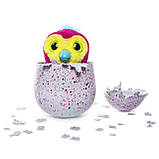 Хетчімалс Пінгві (рожеве яйце)/Hatchimals Hatching Egg Interactive Creature Penguala, фото 7
