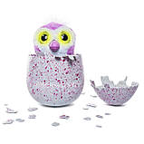 Хетчімалс Пінгві (рожеве яйце)/Hatchimals Hatching Egg Interactive Creature Penguala, фото 8
