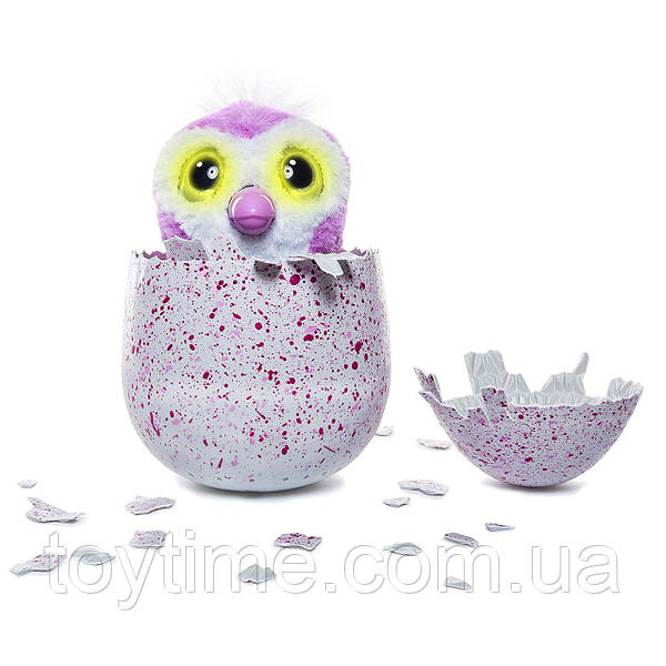 Hatchimal interactive store egg