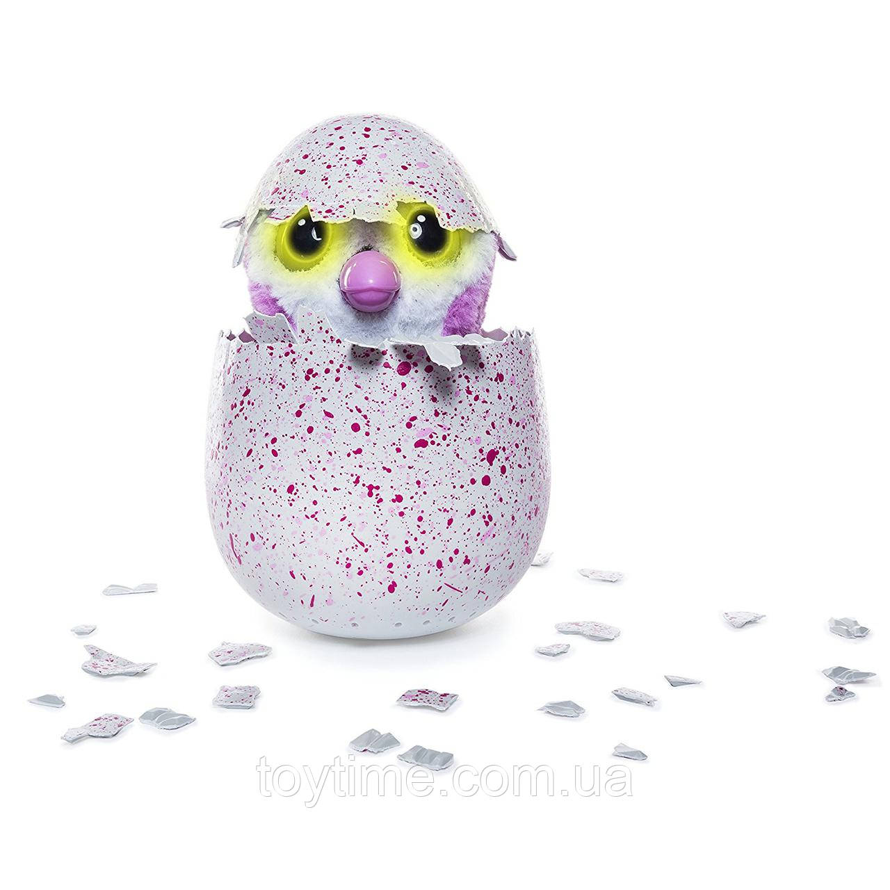 Hatchimals Hatching Egg Interactive