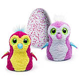 Хетчімалс Пінгві (рожеве яйце)/Hatchimals Hatching Egg Interactive Creature Penguala, фото 3