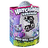 Хетчімалс Сюрприз Подвійної котики/Hatchimals Surprise — Twin Peacat, фото 6