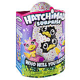 Хетчималс Сюрприз Подвійні Жирафики/Hatchimals Surprise — Giraven, фото 6