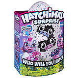 Хетчімалс Сюрприз Подвійні капці Зебри/Hatchimals Surprise Twin Zuffins, фото 7