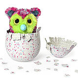 Хетчималс Казковий Лес Тигретт/Hatchimals Fabula Forest — Tigrette, фото 3