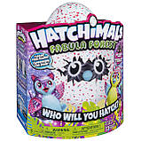 Хетчималс Казковий Лес Тигретт/Hatchimals Fabula Forest — Tigrette, фото 8