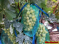 Защитная сетка от ос для кистей винограда (2 кг)