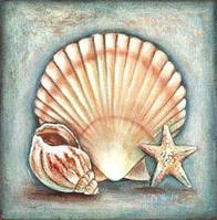 Набор алмазной мозаики "Морская ракушка"