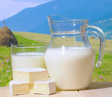 Молочна промисловість