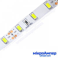 LED стрічка холодно-біла 5630-60 IP20