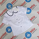 Шкільна дитяча блузка для дівчаток оптом TER-KO.  ПОЛЬША