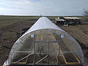 Фермерська теплиця "Урожай" 6х50 під двошарову плівку, фото 4