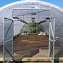 Фермерська теплиця "Урожай" 6х50 під двошарову плівку, фото 2