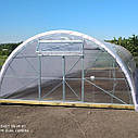 Фермерська теплиця "Урожай" 6х8 під двошарову плівку, фото 2