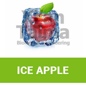 Xi'an Taima "Ice Apple"
