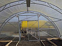 Фермерська теплиця "Урожай" 6х100 під один шар плівки, фото 3