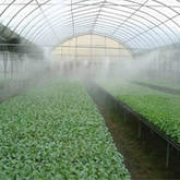 Микрокапельное зрошення