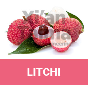 Xi'an Taima "Litchi"