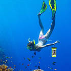 Чохол для смартфона водонепроникний універсальний AirCase зелений, фото 8