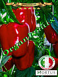Насіння перцю КВАДРАТІ АСТІ КРАСНИЙ / KVADRATO ASTI RED, насіння в банці 500 г, ТМ Hortus (Італія), фото 3