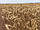 Насіння пшениця стягується сорт САГАЙДАК Р1 Полтавська державна агротехнічна академія, фото 2