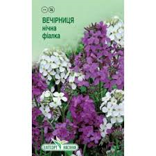 Насіння Вечірниця Нічна фіалка 0.5 г